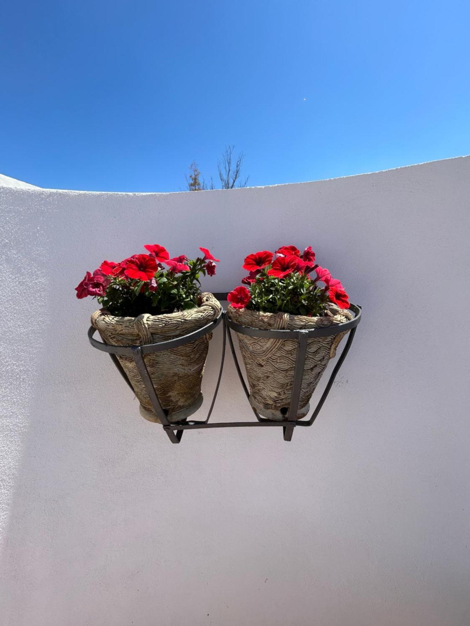 مبيت وإفطار أغريجنتو La Casa Di Pippo Flora المظهر الخارجي الصورة